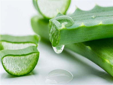 Bí quyết trị mụn bọc của nha đam dành cho mọi làn da
